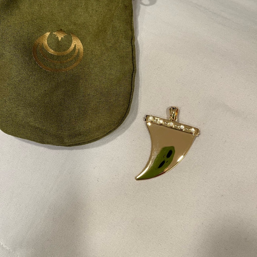 Elegant Gold and Black Horn Pendant Necklace - Picture 2 of 5